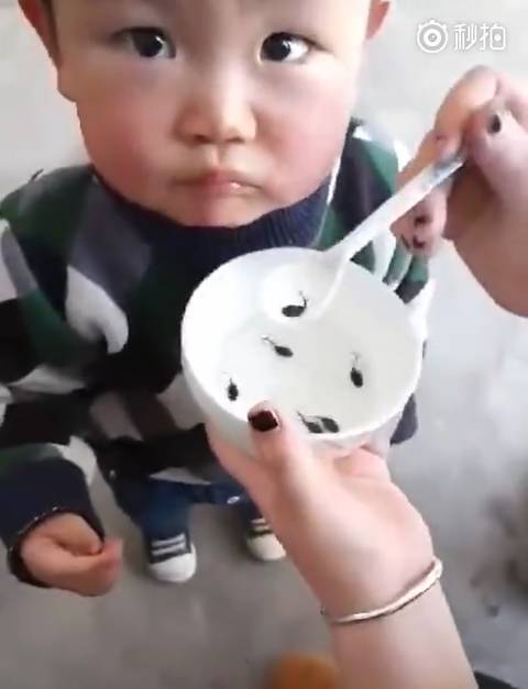 中国 生きたままのオタマジャクシを子供に食べさせる母親 食べ物 グルメ お店