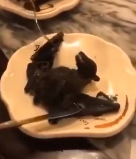 中国 コウモリはこうやって食べる 食べ物 グルメ お店