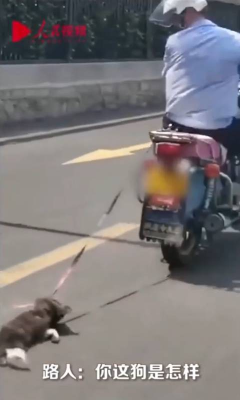 中国 バイクで犬を引きずる男 衝撃系